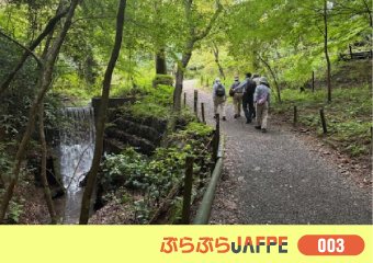 JR線・京王線高尾駅近く 多摩森林科学公園を見て歩く