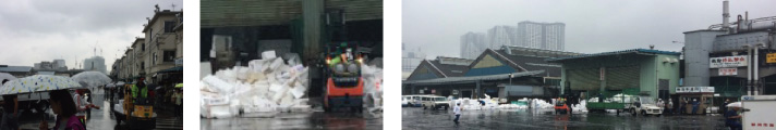 Today is the last chance to tour the Tukiji Wholesale Market with JAFPE members!