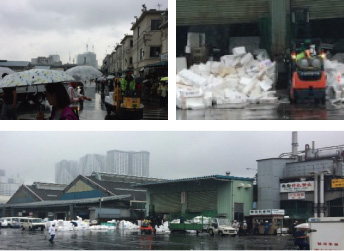 Today is the last chance to tour the Tukiji Wholesale Market with JAFPE members!